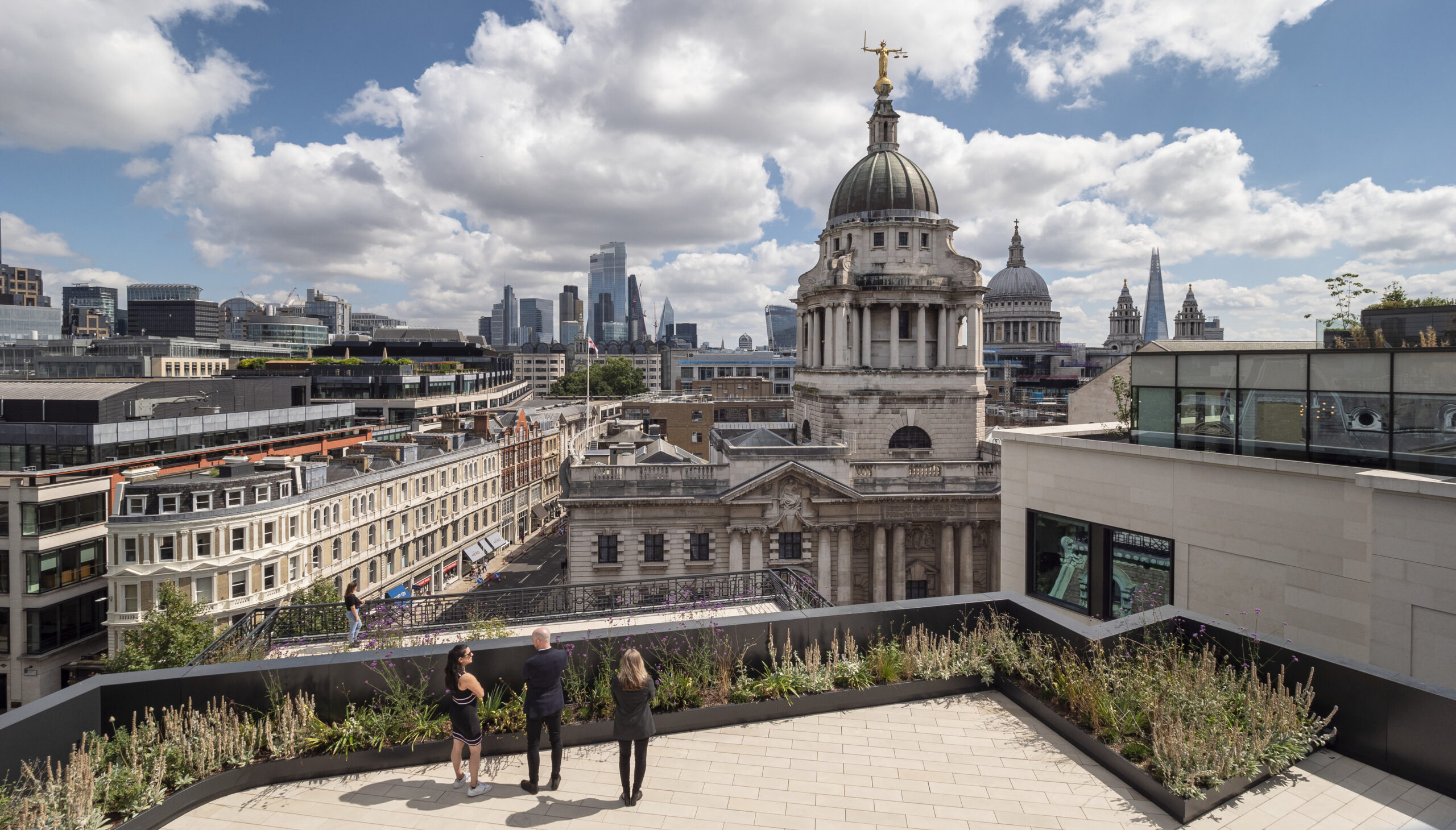 Roof Terraces – Project Features